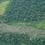 Lanzan un concurso de fotografía sobre la selva colombiana