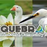 Alcaldìa Continùa Trabajando por la Calidad de los Servicios