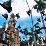 Por presuntas amenazas de muerte, salió de Colombia, Representante, Carolina Giraldo