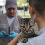 VACUNA ANTIRRABIC EN EL PAQUE OLAYA HERRA HO 7 DE NOVIEMBRE.