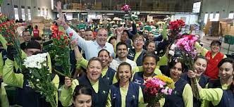 Cada flor colombiana obsequiada en San Valentín representa empleo,  especialmente para mujeres cabeza de familia de nuestro campo”:  MinAgricultura