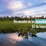 Jueves 2 de febrero 2023. Día Mundial de los Humedales. POR EL ESCRITOR, COMUNICADOR SOCIAL, PERIODISTA, HISTORIADOR, POLITOLÓGO, PRESIDENTE PERIODISTAS RISARALDARUBÉN DARÍO FRANCO NARVÁEZ. SONRÍA, SONRÍA CON AMOR Y ALEGRÍA, AGRADECIÉNDOLE A DIOS CADA SEGUNDO DE VIDA. Rubén Darío Franco Narváez.<br>Para cada día de febrero 2023, difundo la frase del filósofo griego Pitágoras: Cállate o di algo mejor que el silencio.<br>.