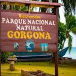 ARQUE NACIONAL NATURALISLA GORGONA SERÁ FINANCIADOPOR LA OFICINA ANTINARCOTICOS DEL DEPARTAMENTO DE ESTADODE LOS EE.UU.PPOR : LUIS ALBERTO FIGUEROAT.P. 0222 EXPEDIDA POR EL MINISTERIO DEEDUCACIÓN NACIONAL.
