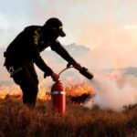 Países amazónicos activan. protocolo para proteger la selva ante alerta por incendios forestales/boletines.presidencia.gov.co/Imagenes/Consultar//e2ca10f2-df8c-4975-8ea5-9ed8c3bd6ca3″><br><br>Foto: Ministerio de Ambiente y Desarrollo Sostenible<br><em>Gobierno ordenó el cierre de 10 Parques Nacionales Naturales para prevenir emergencias por incendios forestales, cuatro de ellos en la Amazonía colombiana.</em><em>En 1,5 billones de pesos aumenta presupuesto para la atención de emergencias por el fenómeno de El Niño.</em><strong>Bogotá, 5 de febrero de 2024</strong>La activación de un protocolo de acciones inmediatas para proteger la selva amazónica de los efectos del fenómeno de El Niño y enfrentar alertas tempranas de deforestación anunció la ministra de Ambiente de Colombia, Susana Muhamad, al término de una reunión con ministros de Defensa y representantes gubernamentales de Bolivia, Brasil, Colombia, Ecuador, Perú, Surinam y Venezuela.El encuentro es resultado de una&nbsp;<a href="https://petro.presidencia.gov.co/prensa/Paginas/Para-atender-incendios-forestales-en-el-pais-tenemos-capacidades-de-20-800-personas-y-solo-hemos-utilizado-3800-240127.aspx" target="_blank" rel="noreferrer noopener">instrucción</a>&nbsp;del presidente Gustavo Petro, quien el pasado 27 de enero solicitó avanzar en la concreción de un Puesto de Mando Unificado Amazónico para proteger la Amazonía de posibles incendios forestales.El mandatario advirtió que, de acuerdo con los pronósticos disponibles, se prevé que en el mes de febrero los puntos de calor aumentarán en el Litoral Pacífico y la Amazonía y se reducirán en el centro del país.<br>Según el&nbsp;último reporte del IDEAM, debido a las lluvias registradas en las últimas horas, los puntos de calor disminuyeron en más de 900 municipios del país. De 500 municipios en alerta roja hoy solo están activos 185.Sin embargo, se mantiene la probabilidad de aumento de temperaturas en las selvas amazónica y pacífica.<br>Picos de deforestación?La titular de la cartera ambiental indicó que los picos de alertas tempranas por deforestación aumentaron en enero pasado y que el Gobierno tomará acción inmediata en esta materia.<br>También anunció el cierre de 10 Parques Nacionales para prevenir emergencias por incendios forestales, cuatro de ellos en la Amazonía colombiana.<br>En esta región se restringirá el ingreso a los parques Picachos, Tinigua, Macarena y El Tuparro. En el resto del país, se cierra el paso en los parques Los Colorados, Paramillo, Isla Salamanca, Tayrona, Los Flamencos y Los Nevados.<br>Según la resolución emitida por la entidad, el cierre se mantendrá hasta el próximo 15 de febrero con posibilidad de prórroga, según el comportamiento del fenómeno.<br>Alerta roja en la Amazonía?“La reunión amazónica de los países dejó como resultado la articulación de capacidades en el caso de una emergencia en la Amazonía, así como la activación de un protocolo de acción inmediata. Ya tenemos el alistamiento para el momento en el que la Amazonía lo necesite’, señaló la ministra Muhamad.<br>Este protocolo hace parte de las medidas que toma el Gobierno Nacional por la detección de un pico de alertas por deforestación en las primeras semanas de enero, reiteró.<br>“Se nos dispararon las alertas tempranas y esto tiene que ver tanto con la influencia del tiempo seco, como con el accionar de algunos grupos. Las alertas rojas que se mantienen hoy de incendios forestales en la Amazonía se corresponden también con los municipios en donde tenemos las alertas de deforestación’, dijo.<br>“Esto quiere decir que se mezcla el ‘caldo’ perfecto para que en unas semanas empiecen a generarse incendios que se puedan desbordar’, alertó la ministra.<br>Los municipios que están en alerta roja en la Amazonía son Calamar y San José del Guaviare en el Guaviare, San Vicente del Caguán en Caquetá y Puerto Guzmán y Puerto Leguízamo en Putumayo.<br>El Ministerio de Defensa de Colombia manifestó que continúa desplegando todas las capacidades de las Fuerzas Militares y de Policía para hacerle frente al fenómeno de El Niño y a cualquier acción que pretenda degradar los ecosistemas colombianos.<br>El Gobierno Nacional autorizó 1,5 billones de pesos adicionales para la atención de emergencias por el fenómeno de El Niño.