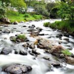 Agua y paz.