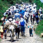 MOVILIZACIÓN INDÍGENA NO SERÍA DESPLAZAMIENTO.