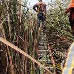 NOTICIAS DEL DEPARTAMETO DEL VALLE.