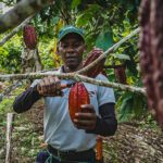 CON INVERSIÓN DE 27.871 MILLONES EN PUTUMAYO ES DESPLAZADA LA COCA.