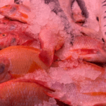 tener precaución durante la semana mayor al consumir pescado