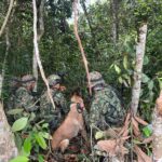 Ejército Nacional de Colombia desactiva munición sin detonar en el Huila.