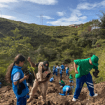 Siembran 500 árboles nativos para fortalecer la conservación ambiental en Samaná.